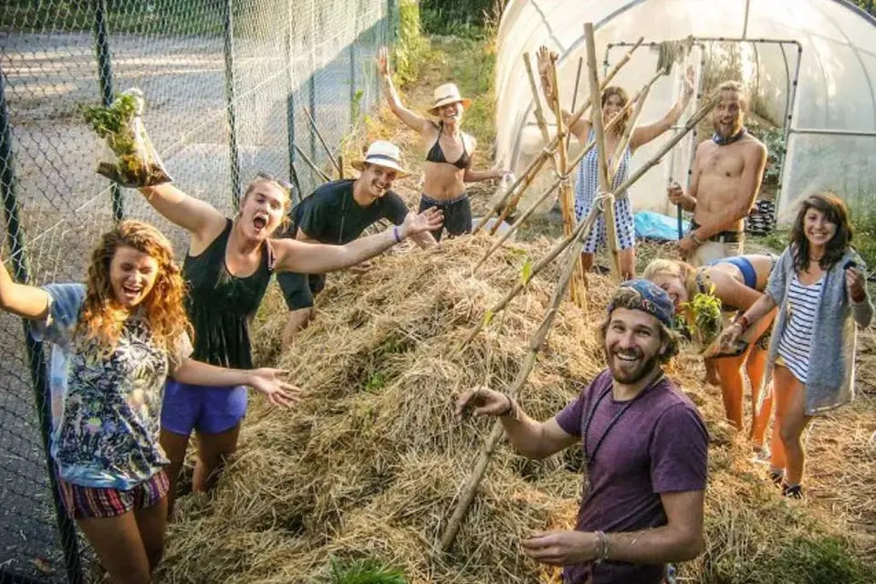 6. Learn About WWOOF