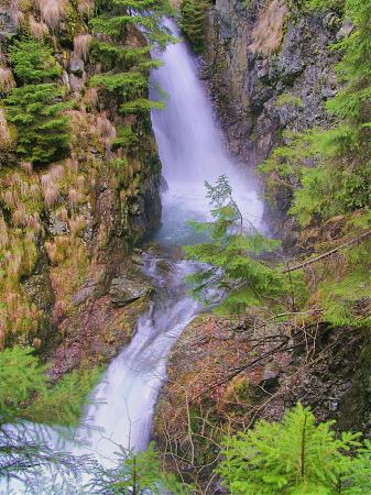 Cascada Valea Mării & Cascada Lazărului și în final Concert Holograf și focul de artificii.